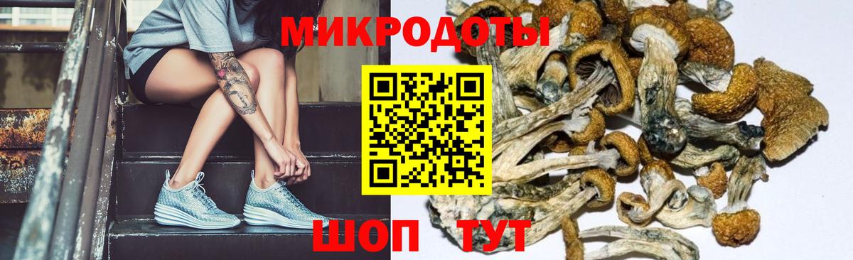Галлюциногенные грибы GOLDEN TEACHER Артём